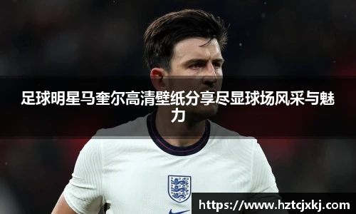 米兰·(milan)中国官网
